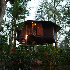 Suite Hot Tub